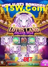 Estatísticas P5 Bet